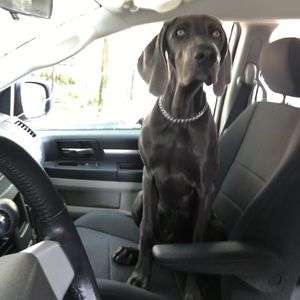 Meet your Posher, Christen